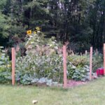 SmartAg hobby – garden with over 20 varieties and deer/rabbit/groundhog perimeter.